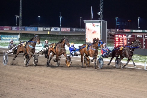 Tvärtom mot vad man kan tro så är ledningen extra gynnsam på Halmstadtravet under vintermånaderna. Foto av Mikael Rosenquist/TR Bild